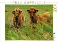 CALVENDO Puzzle Nachwuchs bei den Rindern 1000 Teile Lege-Gr&ouml;&szlig;e 64x48cm Foto-Puzzle