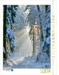 CALVENDO Puzzle Frost trifft Morgenlicht 1000 Teile Lege-Gr&ouml;&szlig;e 64 &times; 48 cm