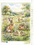 CALVENDO Puzzle Die Hasen 2000 Teile Lege-Gr&ouml;&szlig;e 90 &times; 67 cm Foto-Puzzle f&uuml;r