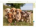 CALVENDO Puzzle Ein Motiv aus dem Kalender Herzklopfen auf vier Pfoden 1000 Teile