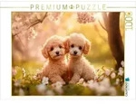CALVENDO Puzzle Pudel im warmen Fr&uuml;hlingsglanz 1000 Teile Lege-Gr&ouml;&szlig;e 64x48cm