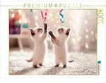 CALVENDO Puzzle Verspielte Katzenbabys 1000 Teile Lege-Gr&ouml;&szlig;e 64x48cm Foto-Puzzle