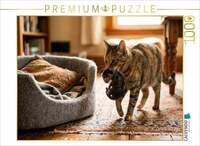 CALVENDO Puzzle Umzug ins weiche K&ouml;rbchen 1000 Teile Lege-Gr&ouml;&szlig;e 64x48cm