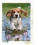 CALVENDO Puzzle Mittenrein ins Fr&uuml;hlingsgl&uuml;ck 1000 Teile Lege-Gr&ouml;&szlig;e 64 &times; 48 cm