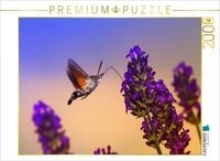 CALVENDO Puzzle Taubenschw&auml;nzchen 2000 Teile Lege-Gr&ouml;&szlig;e 90 &times; 67 cm Foto-Puzzle