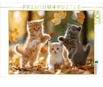 CALVENDO Puzzle Mit Schwung ins Bl&auml;ttergl&uuml;ck 1000 Teile Lege-Gr&ouml;&szlig;e 64 &times; 48 cm