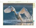 CALVENDO Puzzle Anmut in Bewegung 1000 Teile Lege-Gr&ouml;&szlig;e 64x48cm Foto-Puzzle f&uuml;r