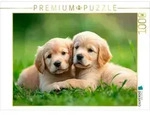 CALVENDO Puzzle Golden Retriever Freunde f&uuml;rs leben 1000 Teile Lege-Gr&ouml;&szlig;e 64x48cm