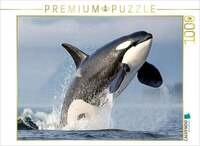 CALVENDO Puzzle Kraftvoller Sprung aus dem Wasser 1000 Teile Lege-Gr&ouml;&szlig;e 64 &times;...