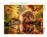 CALVENDO Puzzle Ein Schluck Sommer, der Igel stillt seinen Durst 1000 Teile