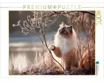 CALVENDO Puzzle Heilige Birma - Zauber des ersten Frosts 1000 Teile...