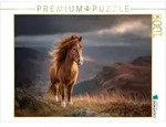 CALVENDO Puzzle Shetlandpony - Im Atem der Berge 1000 Teile Lege-Gr&ouml;&szlig;e 64 &times;...