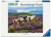 Erwachsenenpuzzle 2000 Teile - Wildpferde in der Heide