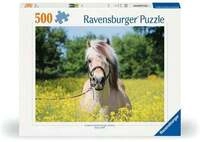 Erwachsenenpuzzle 500 Teile - Pferd im Rapsfeld
