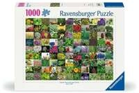 Erwachsenenpuzzle 1000 Teile - 99 Kr&auml;uter und Gew&uuml;rze
