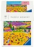 Erwachsenenpuzzle 99 Teile - Frankreich