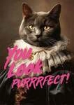 You Look Purrrfect! 1000 Teile Puzzle