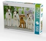 CALVENDO Puzzle Vier Freunde 1000 Teile Lege-Gr&ouml;&szlig;e 64 &times; 48 cm Foto-Puzzle...