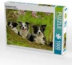 CALVENDO Puzzle Bordercollie Familie 1000 Teile Lege-Gr&ouml;&szlig;e 64 &times; 48 cm Foto-Puzzle