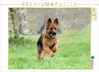 CALVENDO Puzzle Sch&auml;ferh&uuml;ndin 1000 Teile Lege-Gr&ouml;&szlig;e 64x48cm Foto-Puzzle f&uuml;r