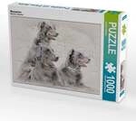 CALVENDO Puzzle Beauceron 1000 Teile Lege-Gr&ouml;&szlig;e 64x48cm Foto-Puzzle f&uuml;r