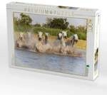 CALVENDO Puzzle Abk&uuml;hlung im Sumpf 1000 Teile Lege-Gr&ouml;&szlig;e 64x48cm Foto-Puzzle...