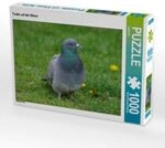 CALVENDO Puzzle Taube auf der Wiese 1000 Teile Lege-Gr&ouml;&szlig;e 64 x 48 cm...