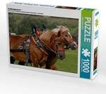CALVENDO Puzzle Kaltblutgespann 1000 Teile Lege-Gr&ouml;&szlig;e 64x48cm Foto-Puzzle f&uuml;r