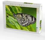 CALVENDO Puzzle Wei&szlig;e Baumnymphe 1000 Teile Lege-Gr&ouml;&szlig;e 64x48cm Foto-Puzzle...