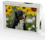 CALVENDO Puzzle Sonnenblumenzeit 1000 Teile Lege-Gr&ouml;&szlig;e 64x48cm Foto-Puzzle...