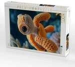 CALVENDO Puzzle Schildkr&ouml;te 1000 Teile Lege-Gr&ouml;&szlig;e 64x48cm Foto-Puzzle f&uuml;r