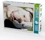 CALVENDO Puzzle Englische Bulldogge 1000 Teile Lege-Gr&ouml;&szlig;e 64x48cm Foto-Puzzle f&uuml;r