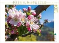 CALVENDO Puzzle Apfelbl&uuml;te in S&uuml;dtirol 1000 Teile Lege-Gr&ouml;&szlig;e 64x48cm...