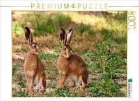 CALVENDO Puzzle Aufmerksame Feldhasen 1000 Teile Lege-Gr&ouml;&szlig;e 64x48cm...