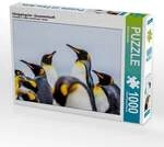 CALVENDO Puzzle K&ouml;nigspinguine - Zusammenkunft 1000 Teile Lege-Gr&ouml;&szlig;e 64 &times; 48 cm