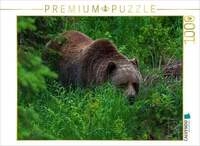CALVENDO Puzzle B&auml;r im Gr&uuml;nen 1000 Teile Lege-Gr&ouml;&szlig;e 64x48cm Foto-Puzzle f&uuml;r