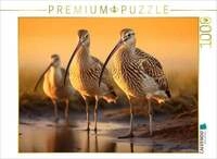 CALVENDO Puzzle Ein Motiv aus dem Kalender "Biotop zwischen Land und Meer" 1000...