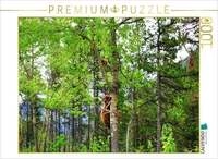 CALVENDO Puzzle Bei Gefahr schickt ein "Cinnamon Bear" sein junges auf den Baum.