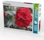 CALVENDO Puzzle Dr. Burnside 1000 Teile Lege-Gr&ouml;&szlig;e 64x48cm Foto-Puzzle f&uuml;r