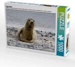 CALVENDO Puzzle Kegelrobbe 1000 Teile Lege-Gr&ouml;&szlig;e 64x48cm Foto-Puzzle f&uuml;r