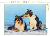 CALVENDO Puzzle Ein sch&ouml;nes Paar - Langhaar und Kurzhaar 1000 Teile...