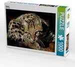 CALVENDO Puzzle Ozelot 1000 Teile Lege-Gr&ouml;&szlig;e 64x48cm Foto-Puzzle f&uuml;r gl&uuml;ckliche