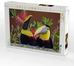 CALVENDO Puzzle Swainson Tukan 1000 Teile Lege-Gr&ouml;&szlig;e 64x48cm Foto-Puzzle f&uuml;r