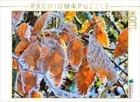 CALVENDO Puzzle Frostbl&auml;tter - Sch&ouml;nheit im Stillstand 1000 Teile Lege-Gr&ouml;&szlig;e