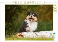 CALVENDO Puzzle Kleiner Weltentdecker - ein Colliewelpe 1000 Teile Lege-Gr&ouml;&szlig;e