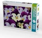 CALVENDO Puzzle Hornveilchen 1000 Teile Lege-Gr&ouml;&szlig;e 64x48cm Foto-Puzzle f&uuml;r