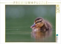 CALVENDO Puzzle Stockente (Mallard) 1000 Teile Lege-Gr&ouml;&szlig;e 64x48cm Foto-Puzzle...