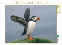 CALVENDO Puzzle Puffin 1000 Teile Lege-Gr&ouml;&szlig;e 64x48cm Foto-Puzzle f&uuml;r...