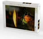 CALVENDO Puzzle Das Besondere sehen 1000 Teile Lege-Gr&ouml;&szlig;e 64x48cm Foto-Puzzle...