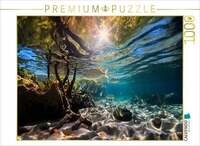 CALVENDO Puzzle In den Mangroven - tropische Fische 1000 Teile Lege-Gr&ouml;&szlig;e...